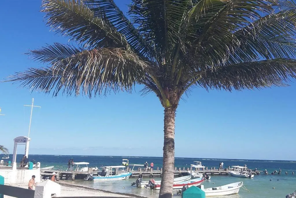 Departamento Bonito Y Comodo Con Alberca Planta Baja Puerto Morelos
