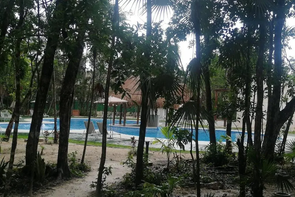 Departamento Bonito Y Comodo Con Alberca Planta Baja Puerto Morelos Apartment