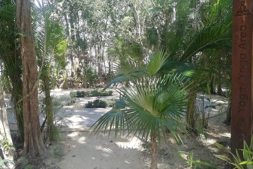 Departamento Bonito Y Comodo Con Alberca Planta Baja Puerto Morelos