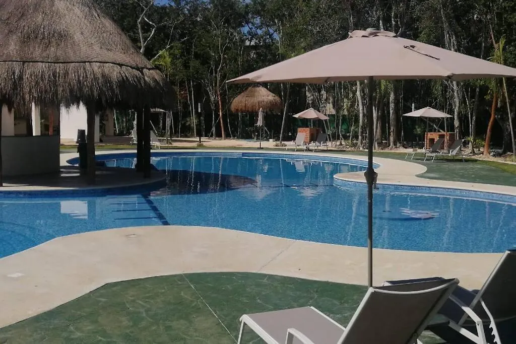 Departamento Bonito Y Comodo Con Alberca Planta Baja Puerto Morelos